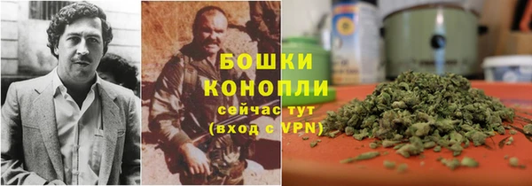 ECSTASY Кодинск