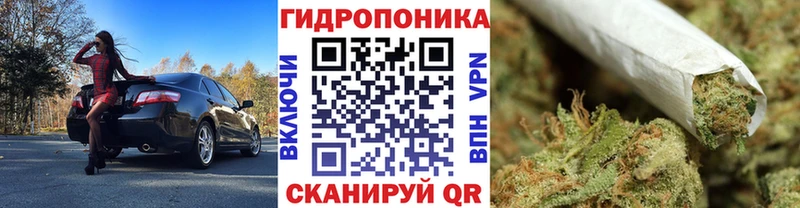 Марихуана планчик  Купить закладки  Тайшет 